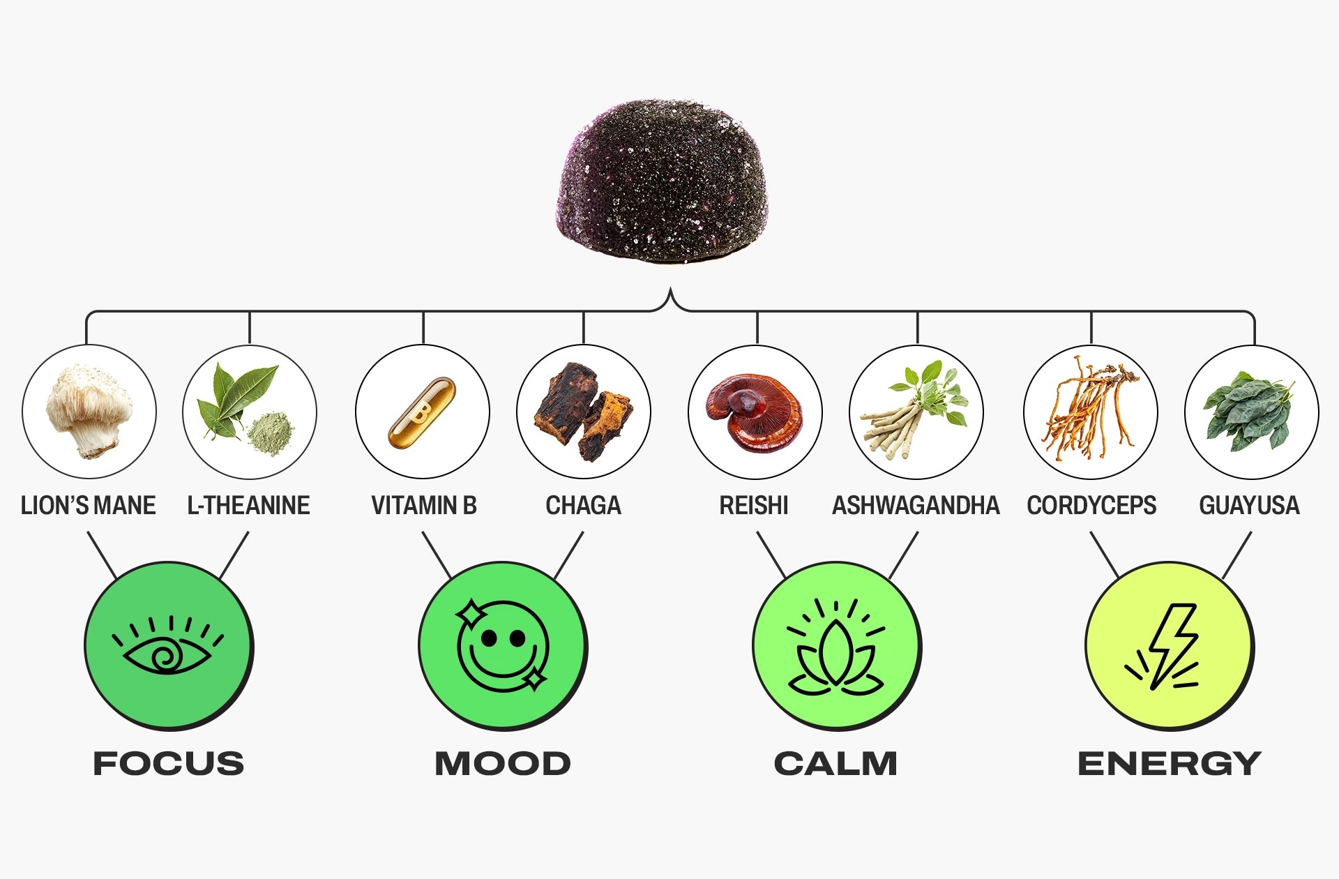 Vybe Mushroonm Gummies - 8-in-1 Functional Clend